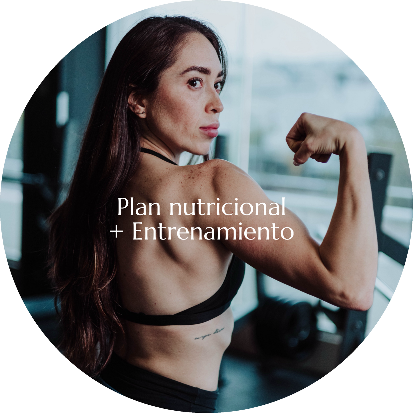 Plan Fit 1 mes (Nutrición y Entrenamiento)