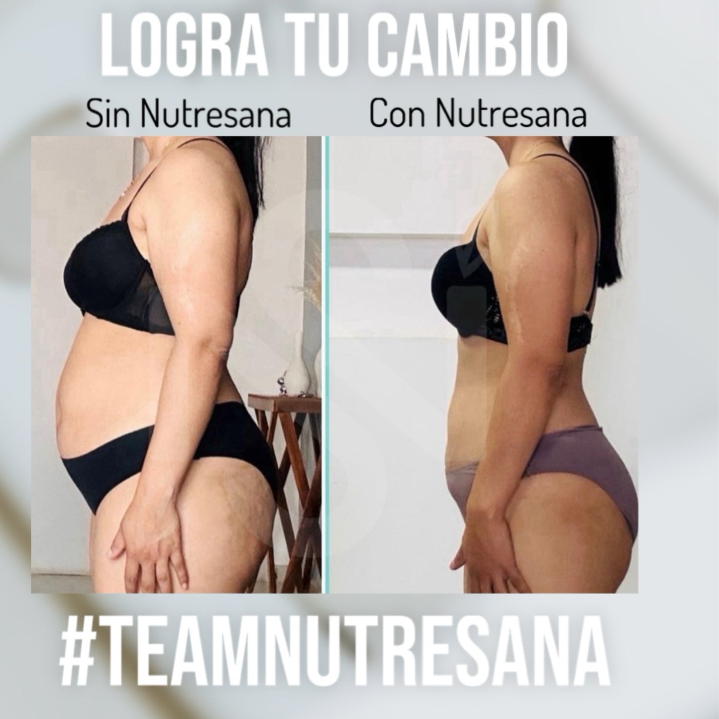 Plan Nutrición (1 mes)