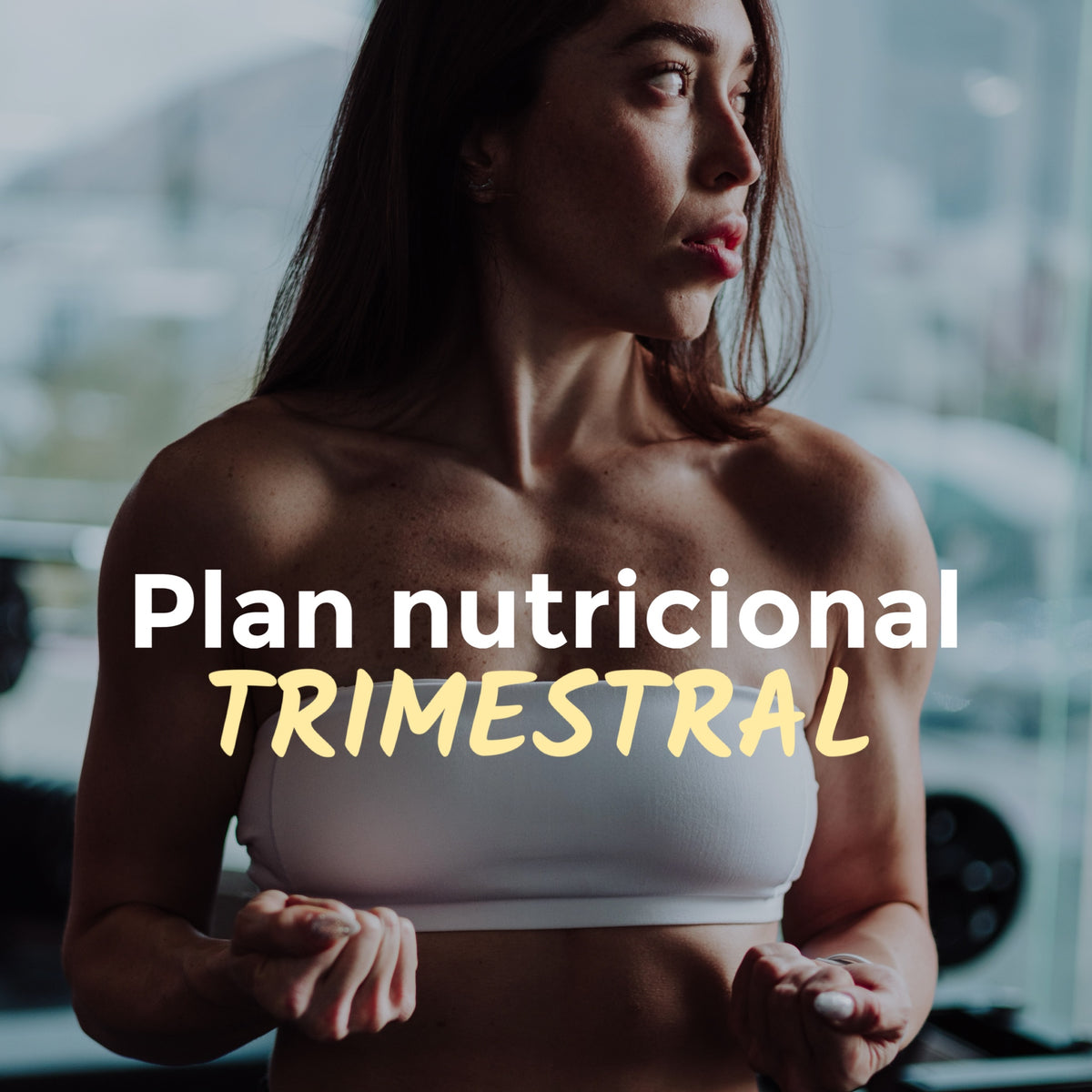 Plan Nutricional (Trimestral)