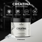 Creatina Monohidratada | 60 servicios | Alta Pureza
