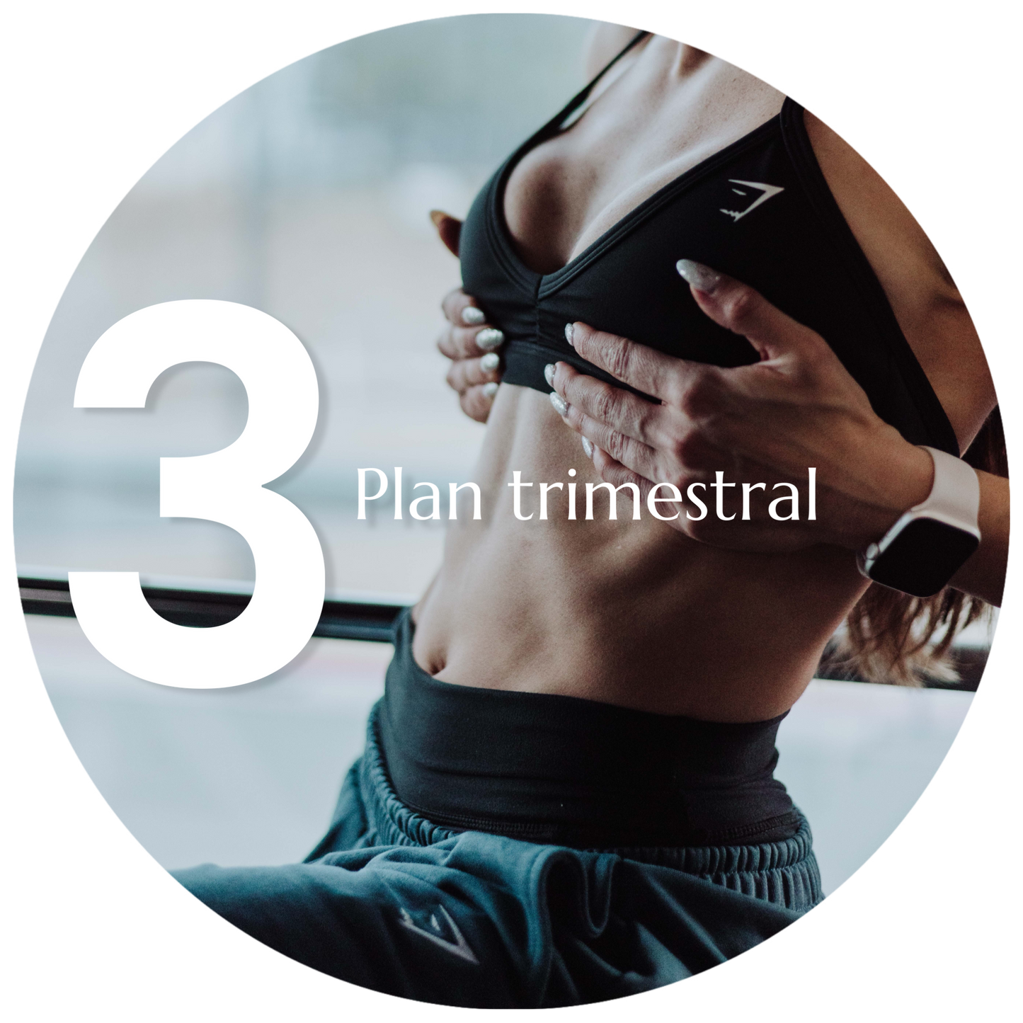 Plan Fit 3 meses (Nutrición + Entrenamiento)