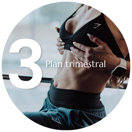 Plan Fit 3 meses (Nutrición + Entrenamiento)