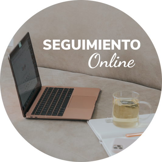 Plan Nutricional Seguimiento